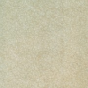 Shape Snow Inserto Texture Lappato / Шейп Сноу Вставка Текстур Шлифованная