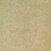Shape Cream Inserto Texture Lappato / Шейп Крим Вставка Текстур Шлифованная